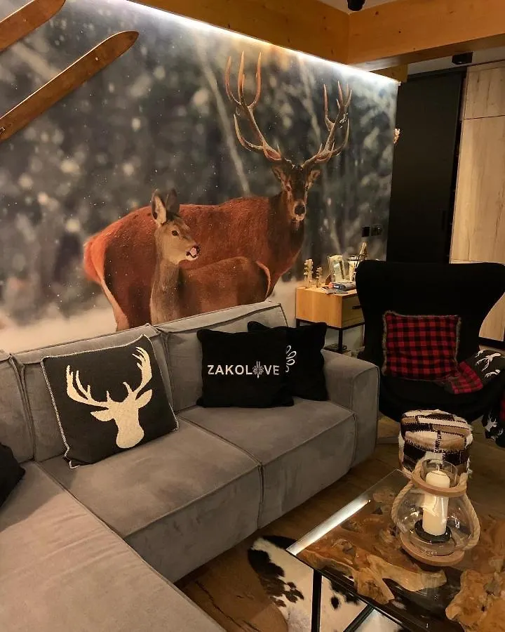 Apartament ZAKOLOVE pod Skocznią - Sauna , Jaccuzi , piękny taras Zakopane